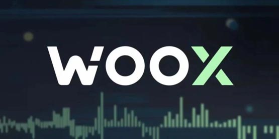 交易所WOO X再获900万美元注资，Wintermute领投！